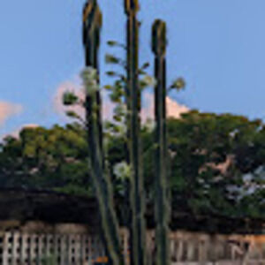 Meet your Posher, Ana sofia